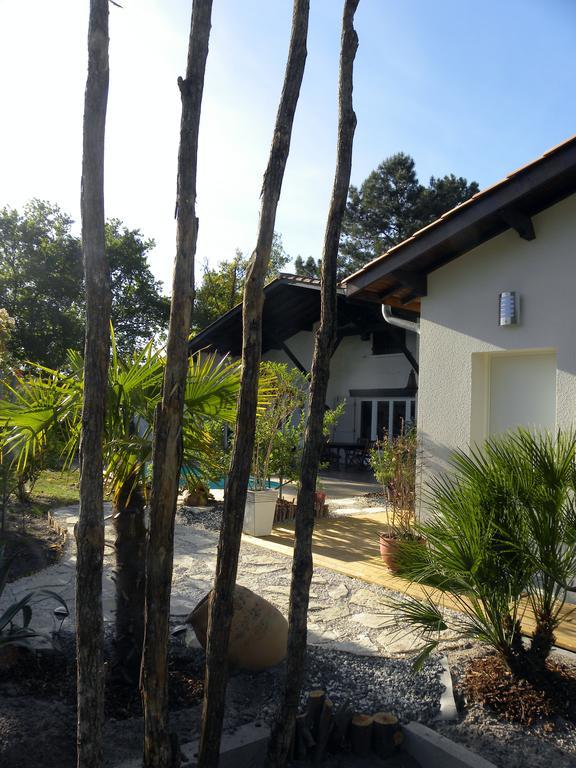 Villa Mogador Piscine et Balnéo Andernos-les-Bains Exterior foto